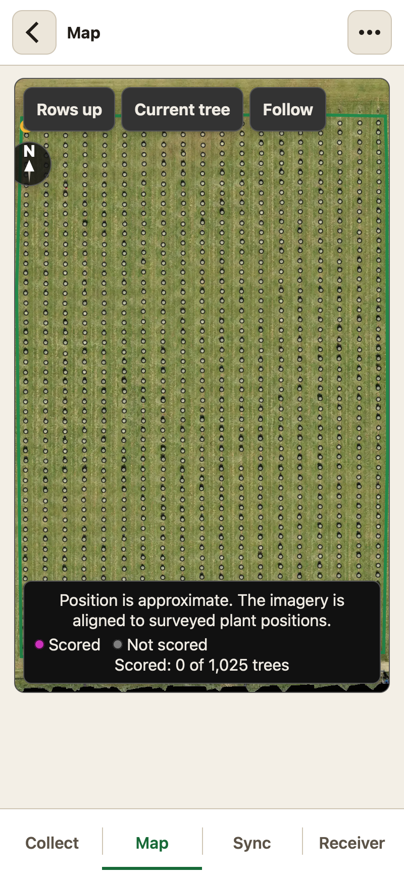 A trial's map drawn on a drone image, with every plant marked and the trial outlined
